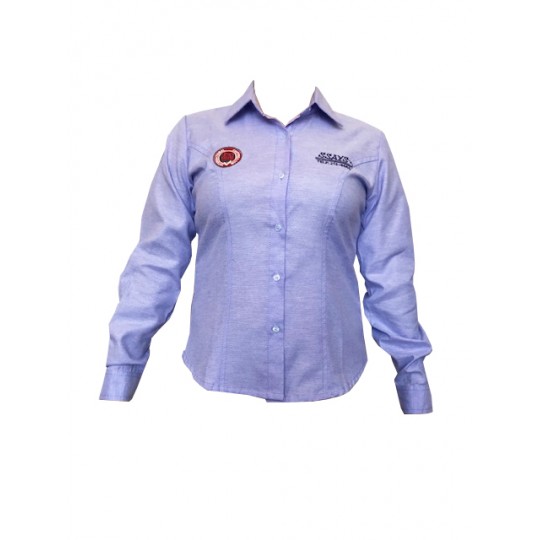 BLUSA OXFORD CORTE PRINCESAMANGA LARGA 